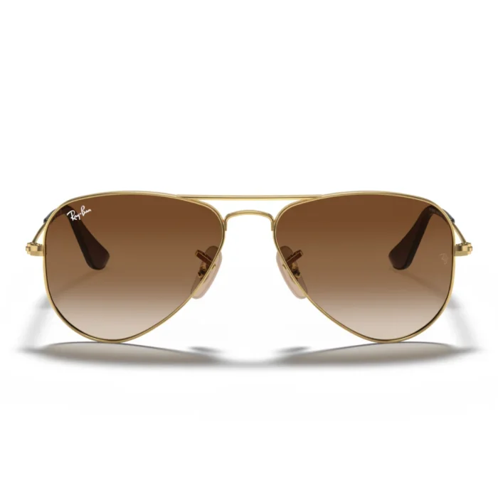 Ray Ban RJ9506S 223