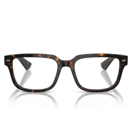 Dolce and Gabbana DG3380 502