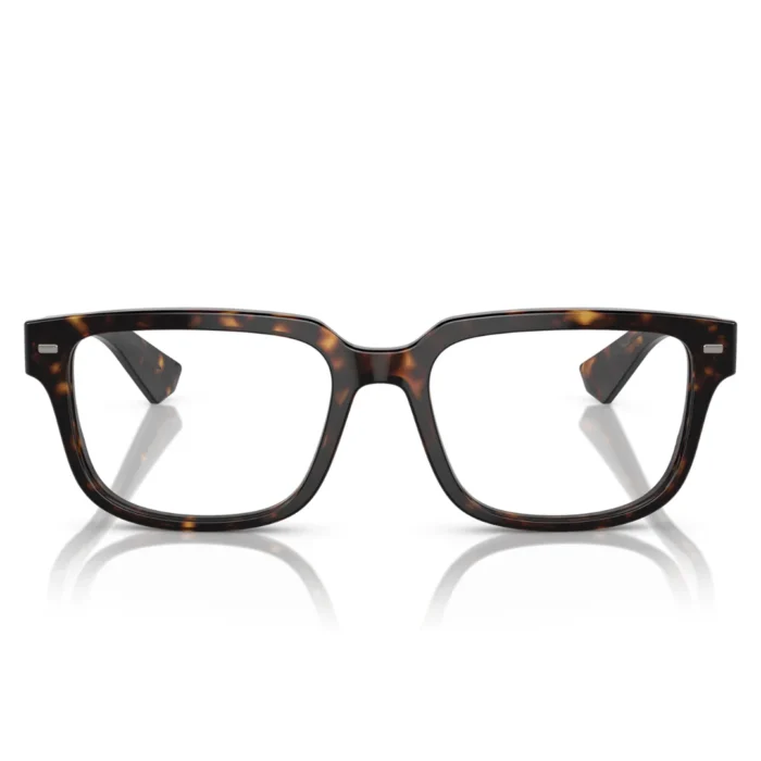 Dolce and Gabbana DG3380 502