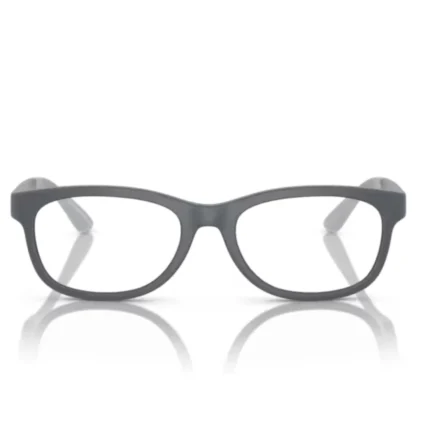 Emporio Armani 0EK3001 5088