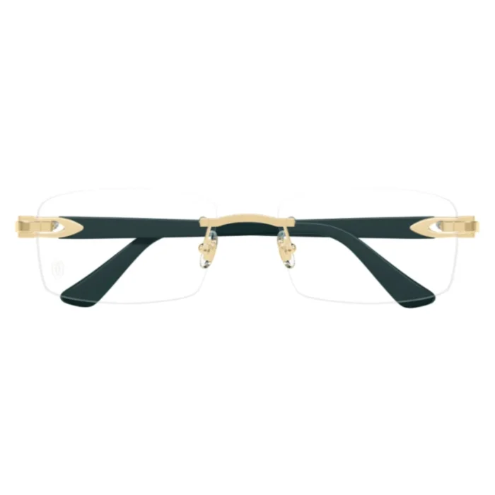 Cartier CT0287O 009