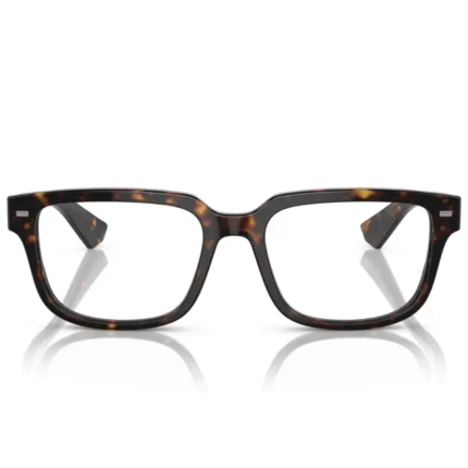 Dolce & Gabbana DG3380 502