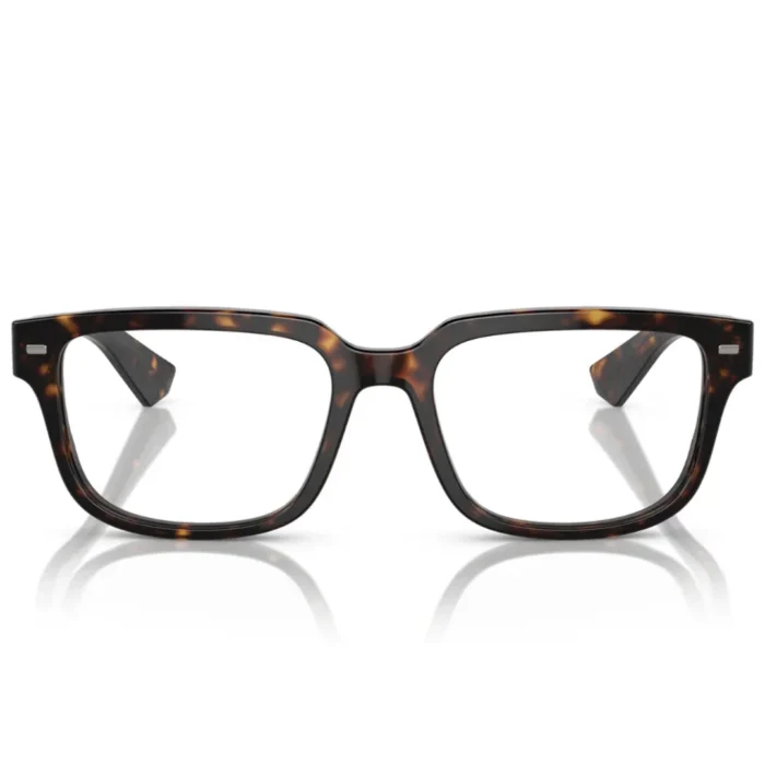 Dolce & Gabbana DG3380 502