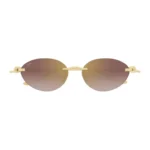 Cartier CT0504S 004
