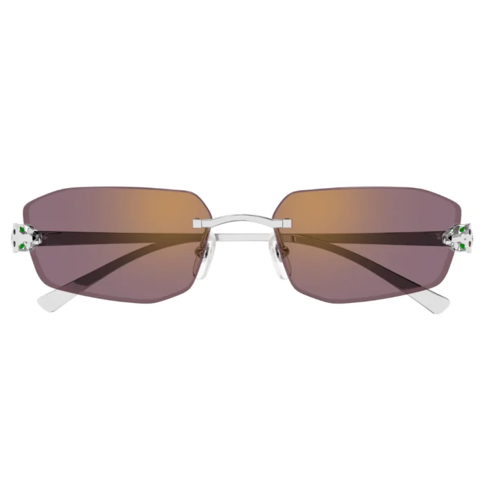 Cartier CT0474S 004