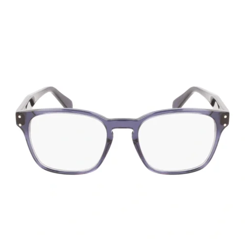 Ferragamo SF2925 420