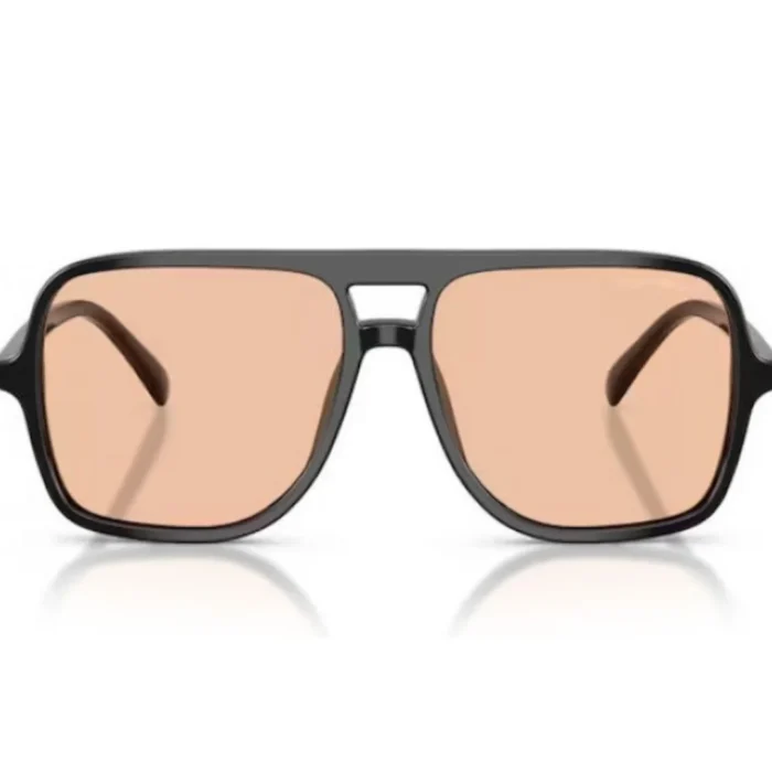 Emporio Armani 0EA4252U 501793
