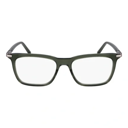 Ferragamo SF3007 317