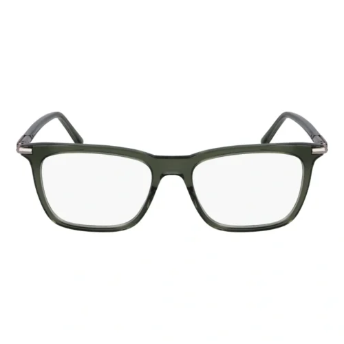 Ferragamo SF3007 317