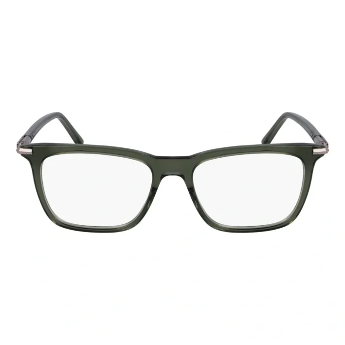Ferragamo SF3007 317