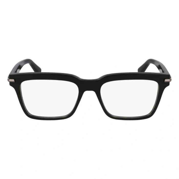 Ferragamo SF3014 019