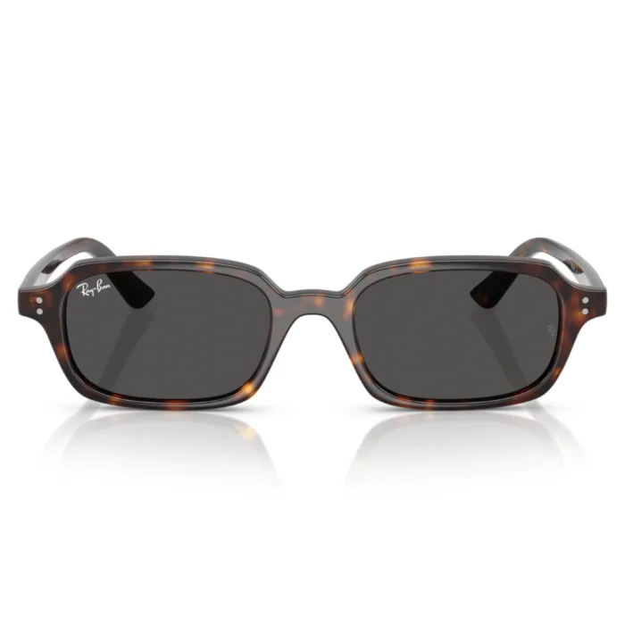 Ray Ban RB4455 1359/87