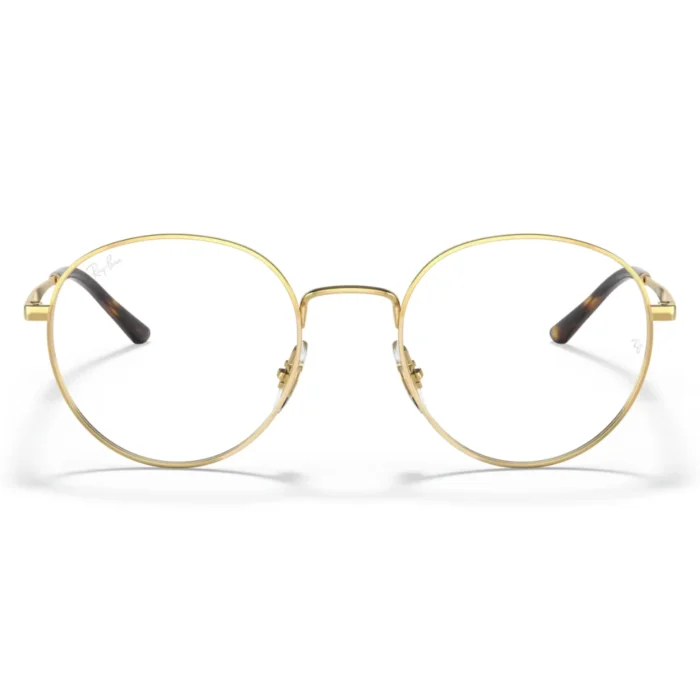 Ray Ban RB3681V 2500