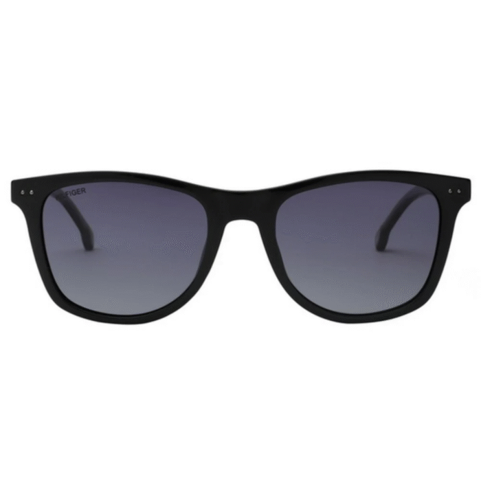 Tommy Hilfiger TH1558 C1