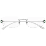 Cartier CT0494O 002