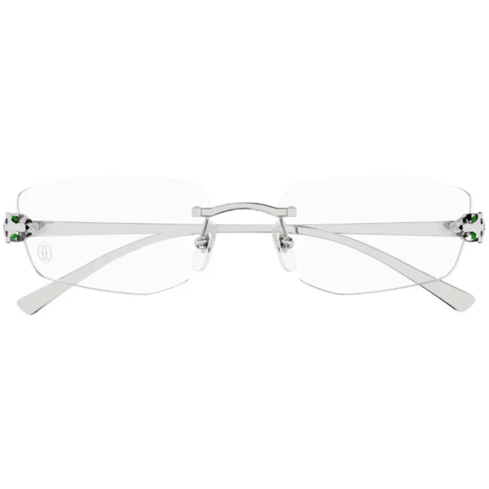 Cartier CT0494O 002