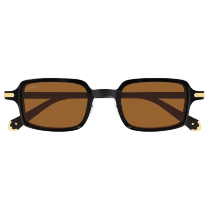 Cartier CT0539S 003