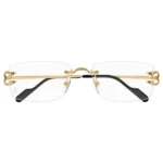 Cartier CT0563O 001