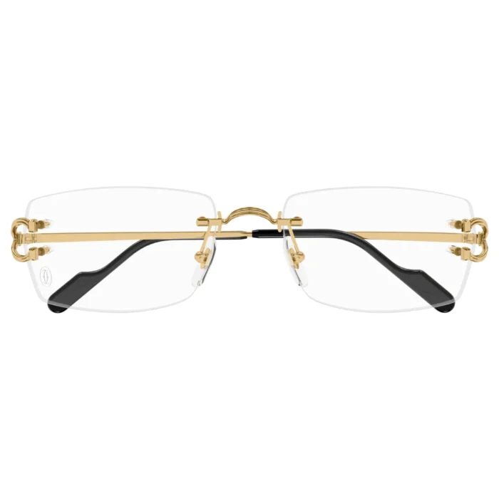 Cartier CT0563O 001