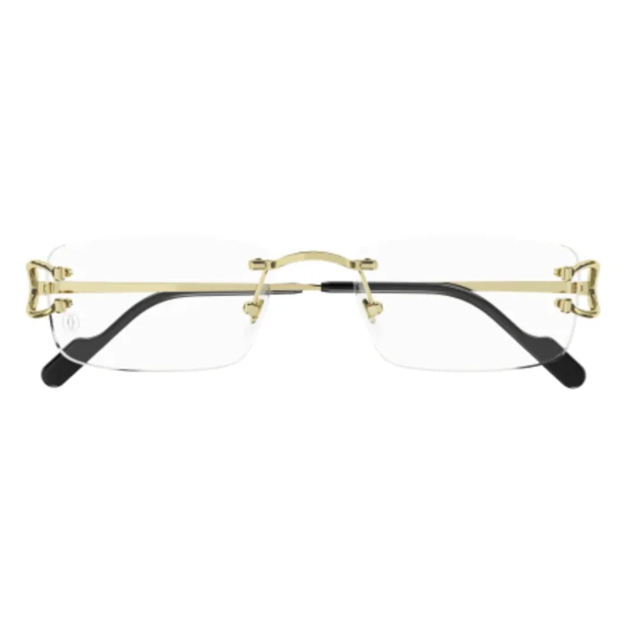 Cartier CT0344O 001