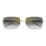 Cartier CT0545S 001