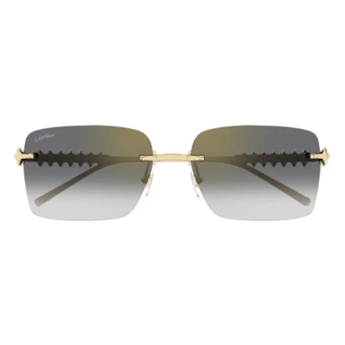 Cartier CT0545S 001