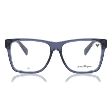 Ferragamo SF2953 420