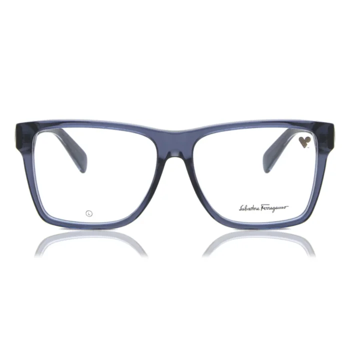 Ferragamo SF2953 420