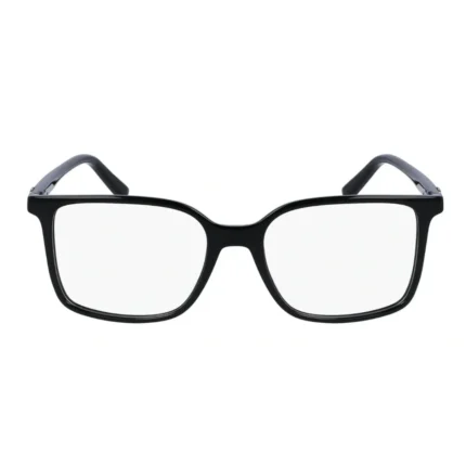 Ferragamo SF2954 001