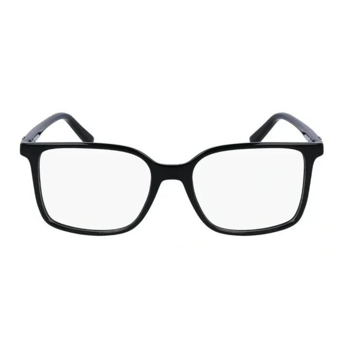 Ferragamo SF2954 001