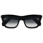 Gucci GG1933S 001