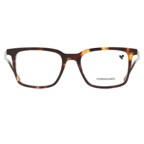 Ferragamo SF2969 242