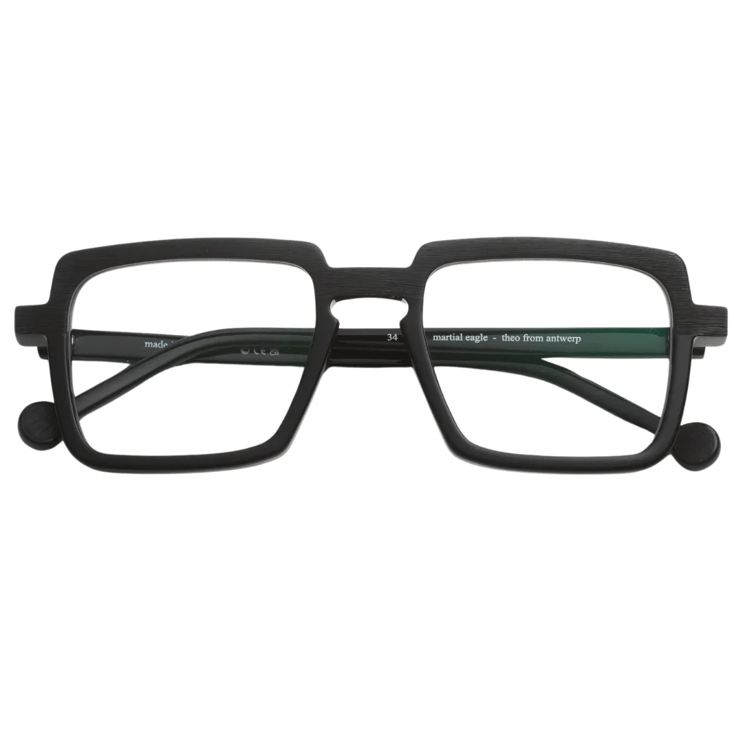 Untitled design - 2026-02-20T170031.173 Theo Martial Eagle 34