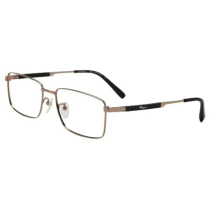 Ferragamo SF2549A 717