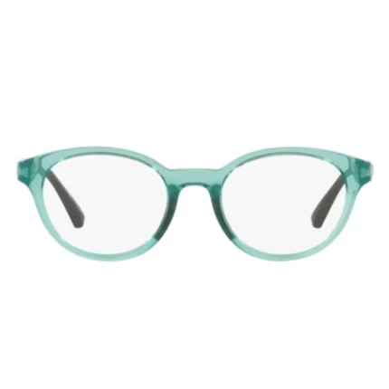 Emporio Armani EA3205 5741