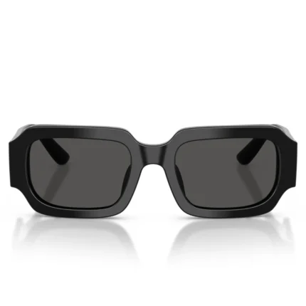 Dolce & Gabbana DG4011 501/87 48