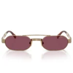 Miu Miu SMU B52 70E 30Y Sunglasses