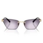 Tiffany & Co. TF3120 62438H Sunglasses