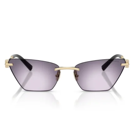 Tiffany & Co. TF3120 62438H Sunglasses