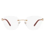 Bvlgari BV2205-B 2023 Frame
