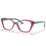 Vogue Junior VY2010 2831 48 Frame