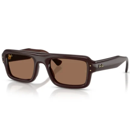 Ray Ban RB4954 6896 73 Sunglasses
