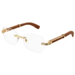 Cartier CT0423O 002 54 Frame