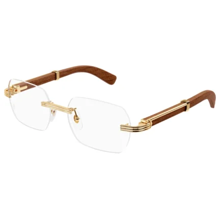 Cartier CT0423O 002 54 Frame