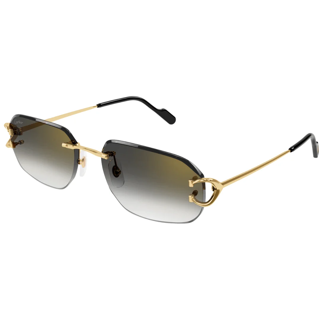 Cartier-CT0468S-001-58-Sunglasses (2) Cartier CT0468S 001 58 Sunglasses