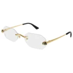 Cartier CT0599O 001 Frame